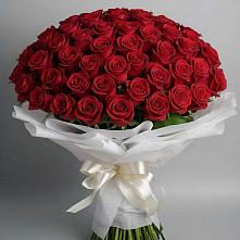 Букет 101 Красная роза Блэк Мэджик в Большие Парфенки
