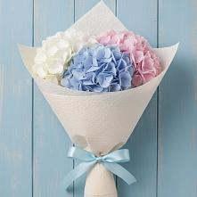 Букет цветов из:  Гортензия в Большие Парфенки