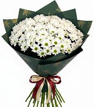 Букет цветов из:  Хризантемы #REPLACE_PRED# Большие Парфенки