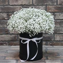 Цветочная композиция из Гипсофила в шляпной коробке в Большие Парфенки